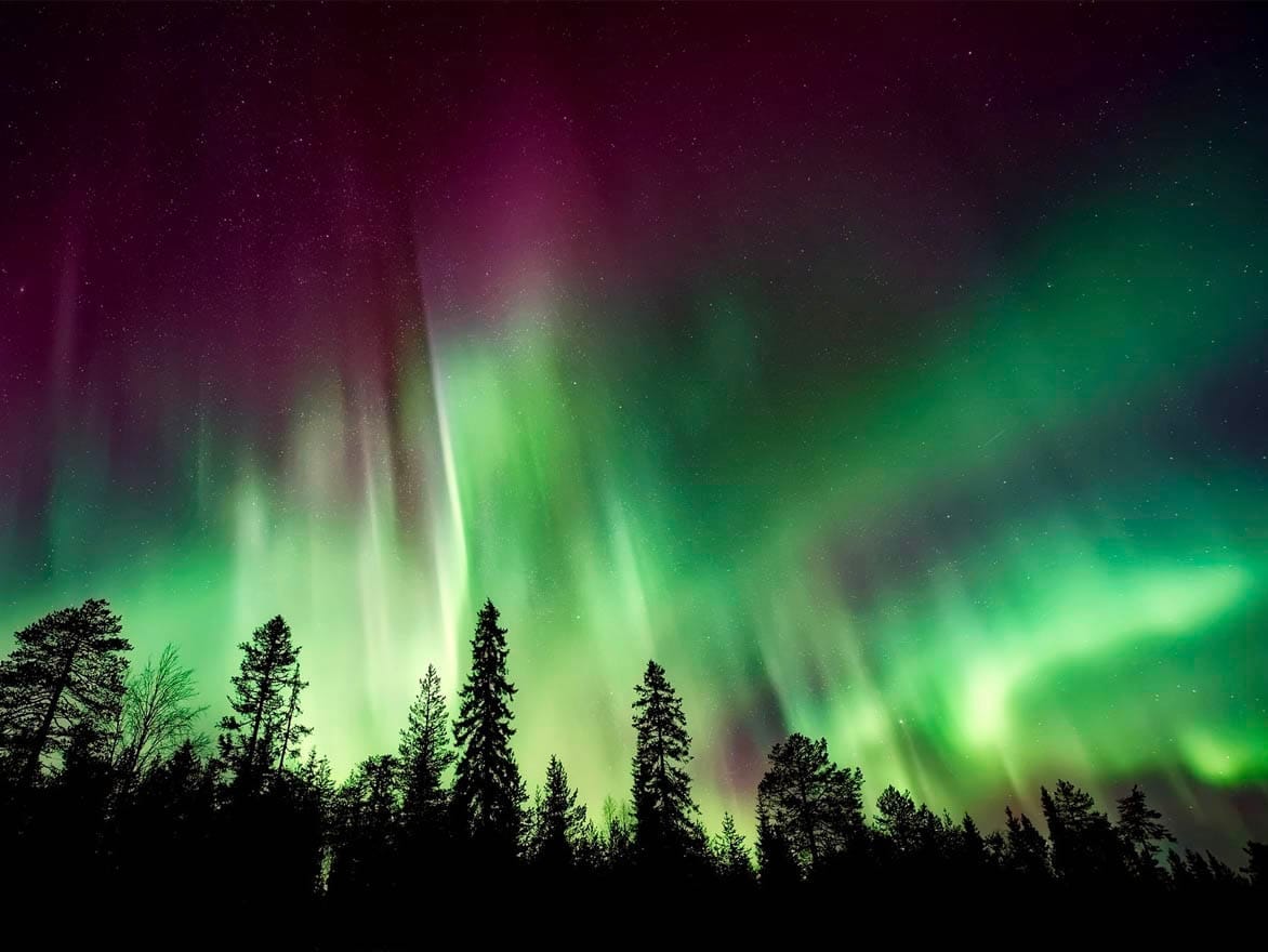 Stunning view of the Northern Lights over a forest in Speyside, Moray.