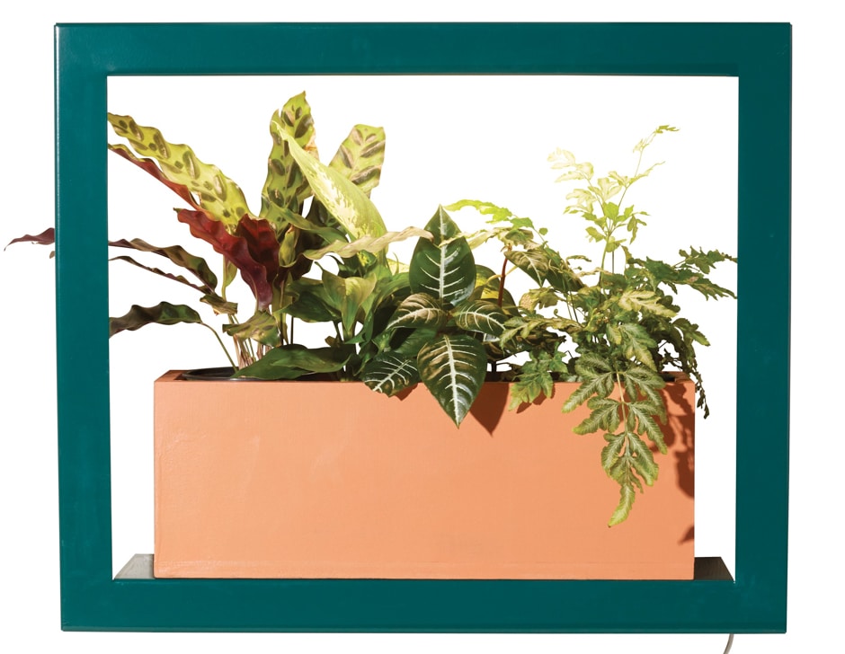modern sprout growframe