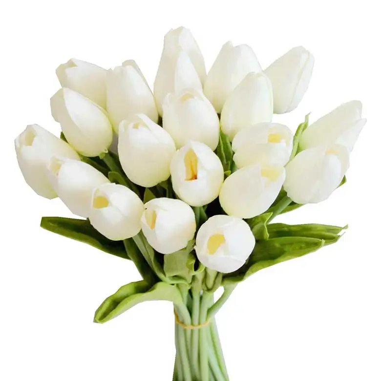 Fresh bouquet of white tulips with green leaves