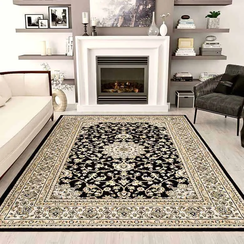 Ornate black and beige rug in a modern living room