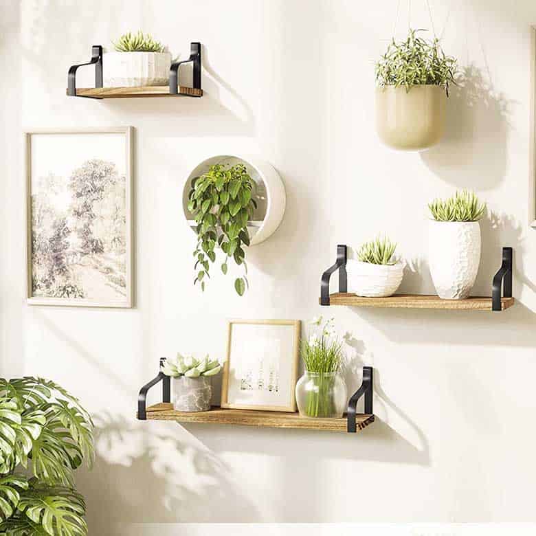 Wall decor with floating shelves, framed art, and various potted plants in a bright space