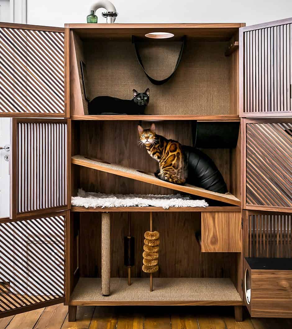 cat flat cabinet with kitties playing