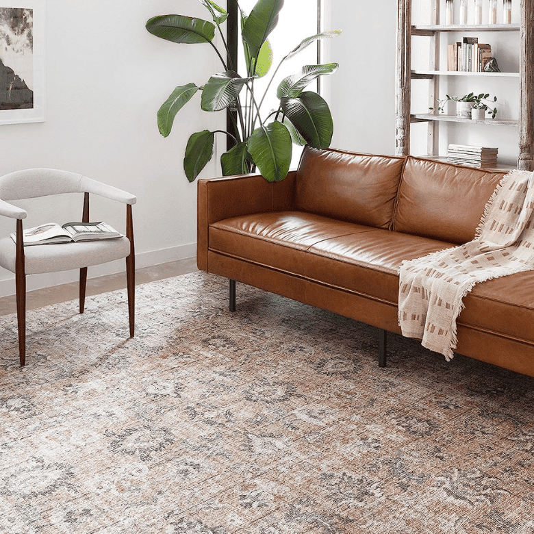 Bright living space with a tan leather sofa, indoor plant, and neutral patterned rug