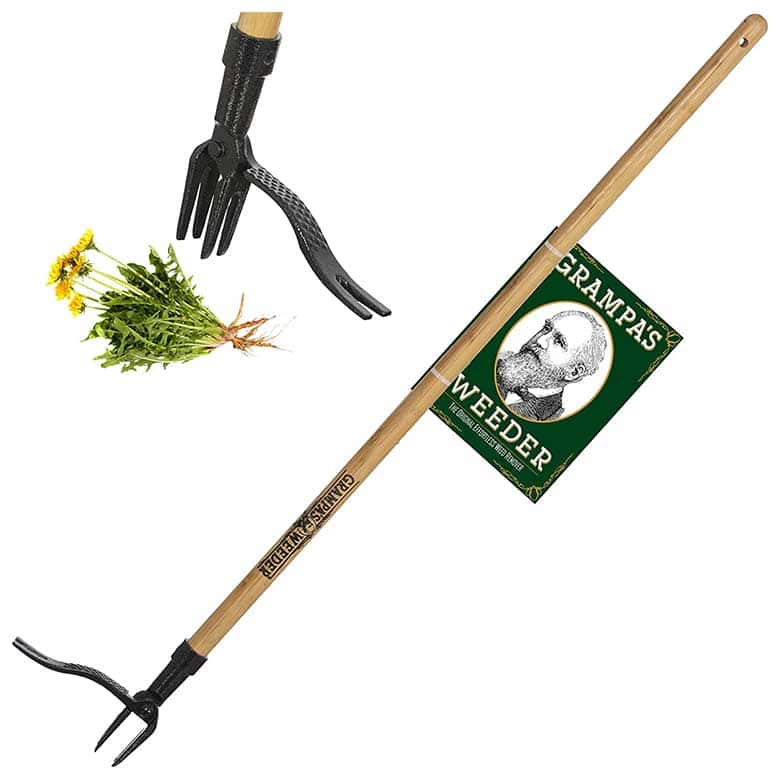 Grampa's Weeder tool with a long wooden handle and metal claw head for easy weed removal