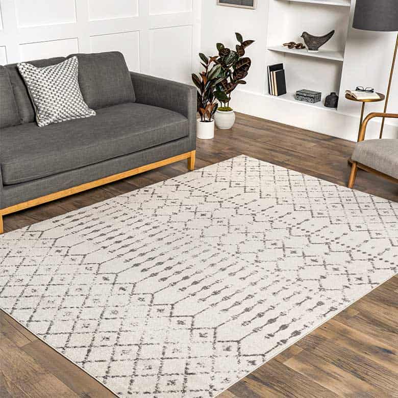 Neutral rug in cozy modern living room