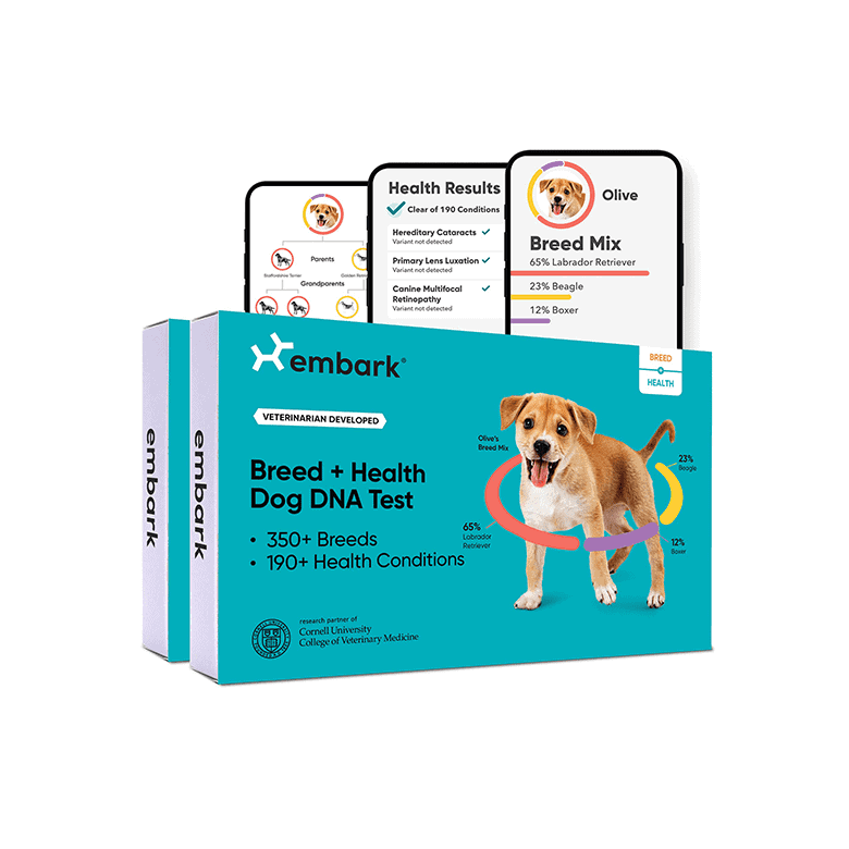 Embark breed and health dog DNA test kit with a blue box and digital health results on smartphone screens