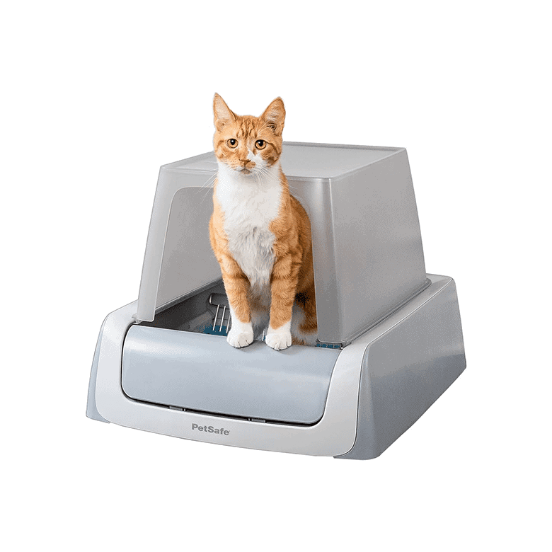 Orange and white cat sitting in a PetSafe automatic self-cleaning litter box