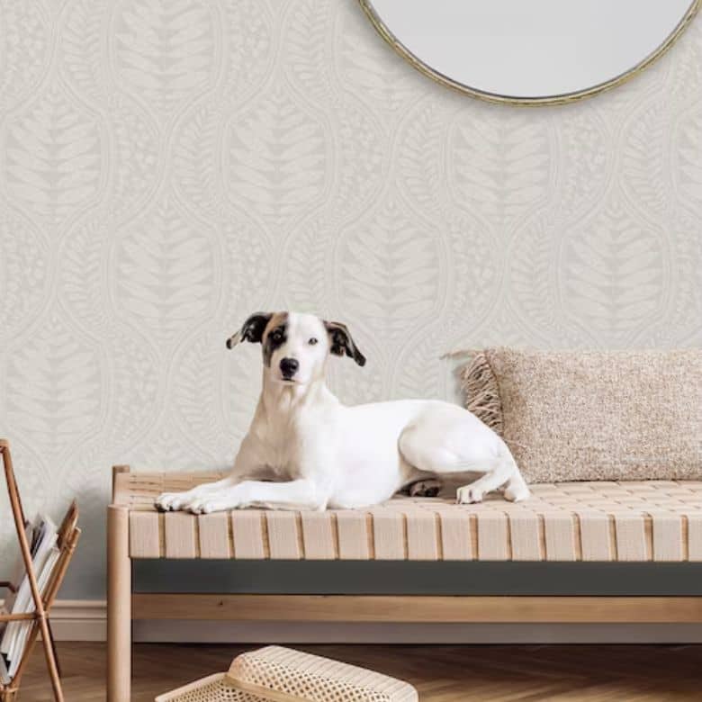 White and black dog lounging on a woven bench with neutral decor
