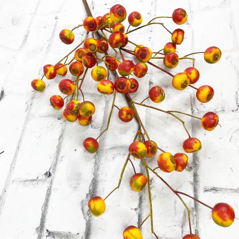 Keleas Orange and Yellow Berry Stem