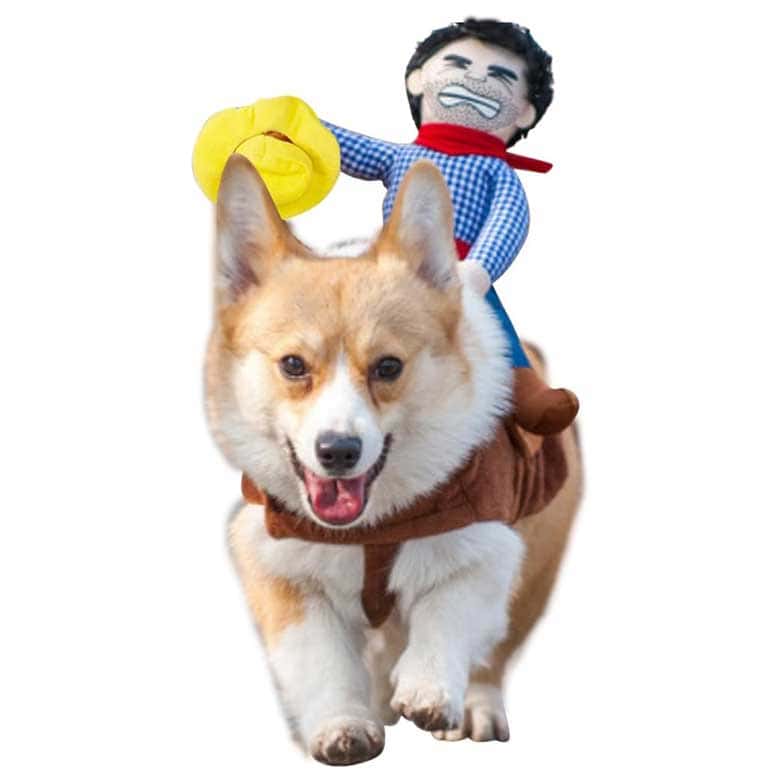 best pet halloween costumes