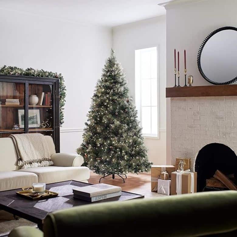 carolina pine christmas tree