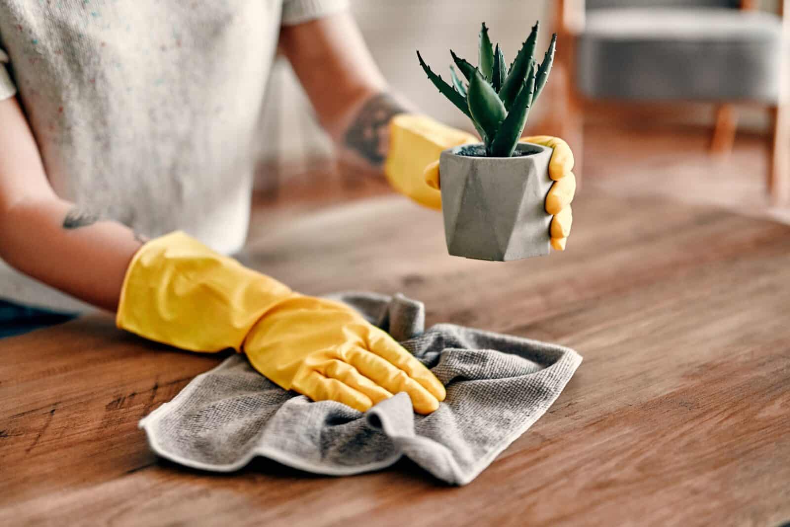 best dusters for every surface, woman dusting a countertop with a plant