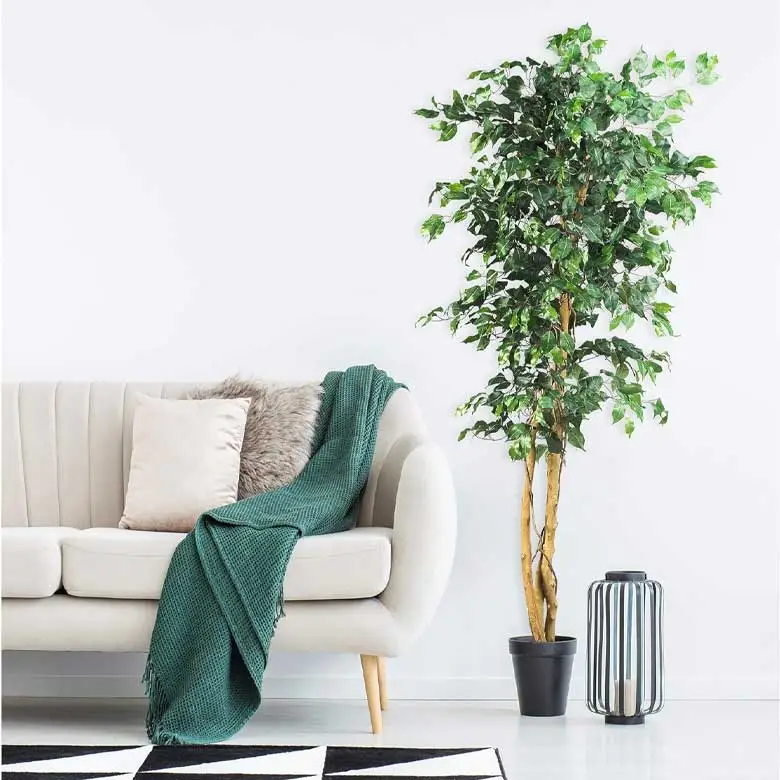 faux ficus tree