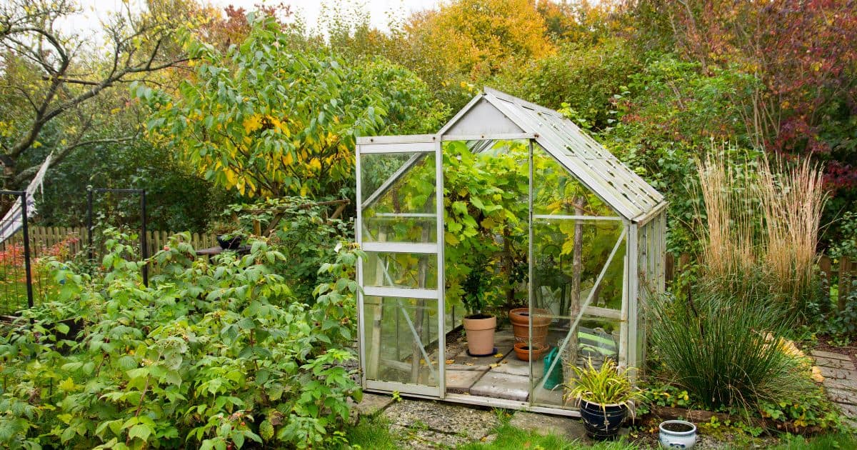 7 Best Greenhouse Kits for Your Backyard