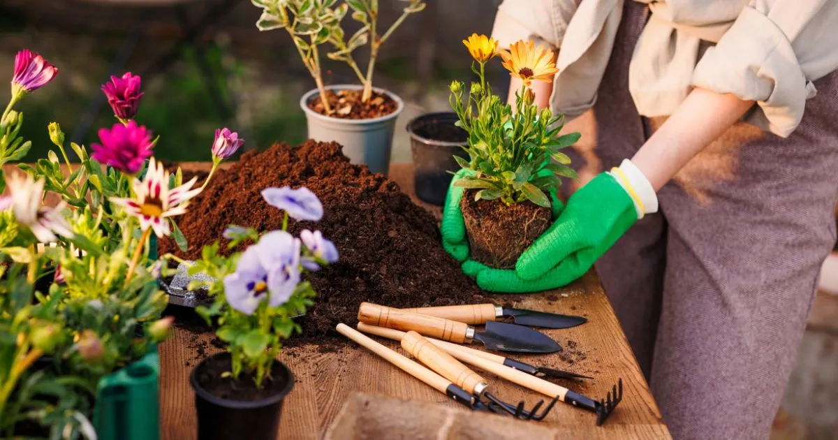 The 11 Best Gardening Tools to Get Growing