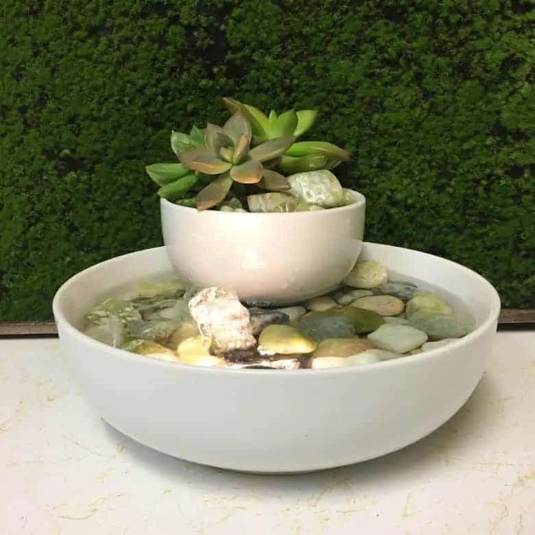 jade water fountain with live succulents