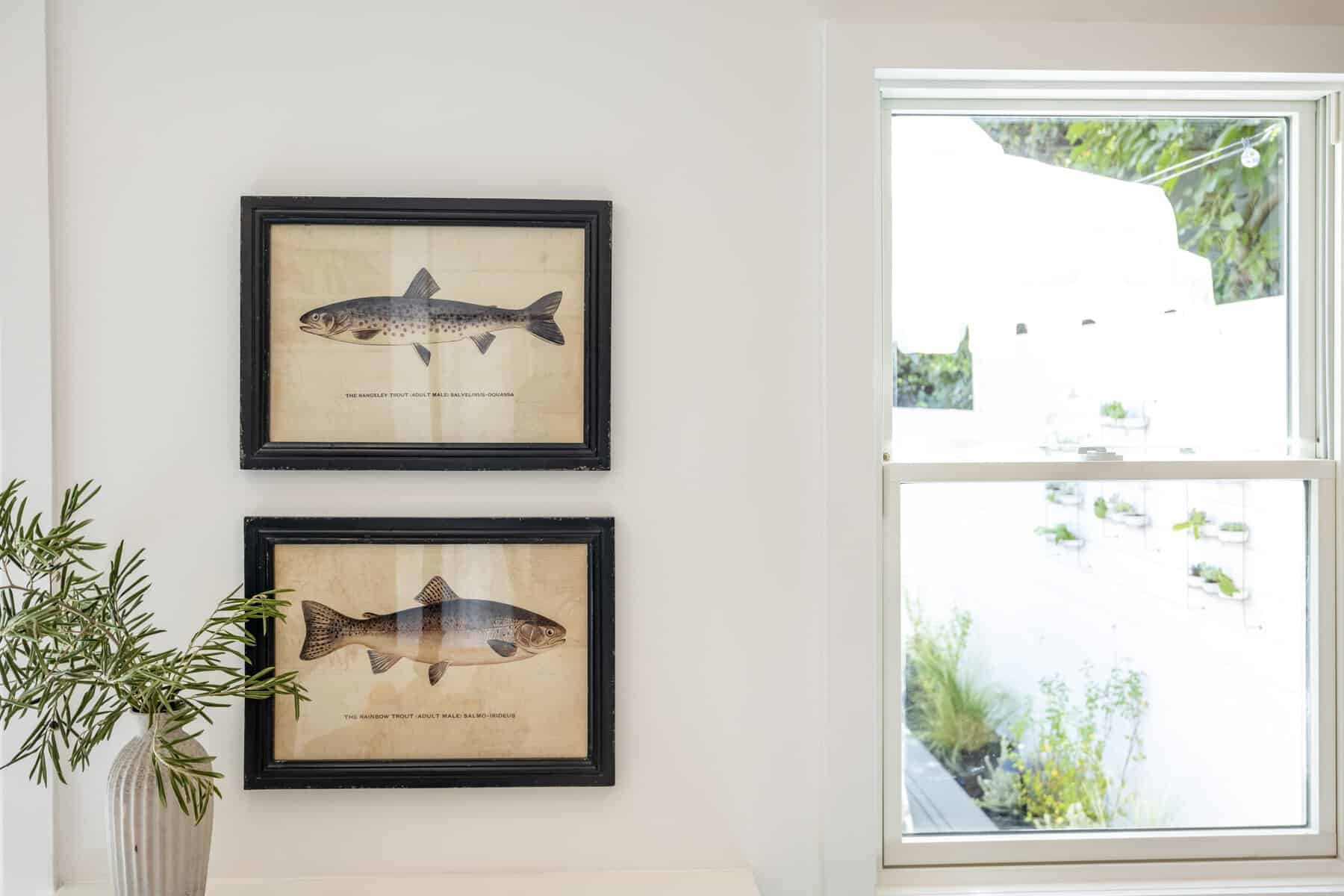 Framed fish illustrations on a white wall beside a window overlooking an outdoor garden space