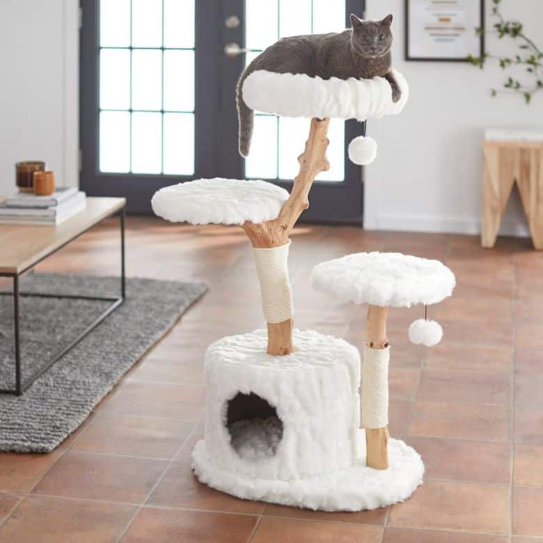 Natural Wood Modern Cat Tree with Toy