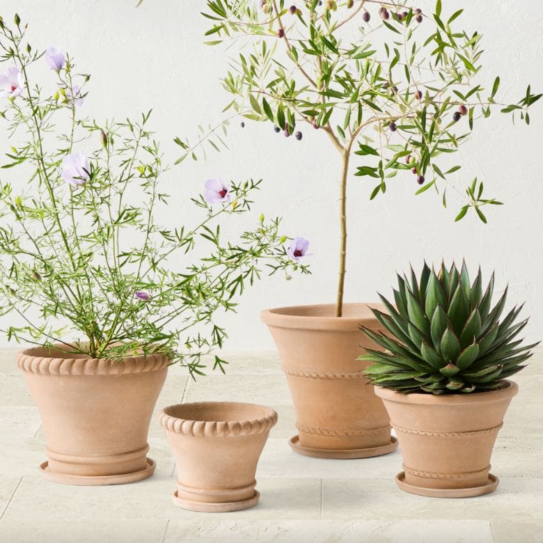 Terracotta Rope Planter