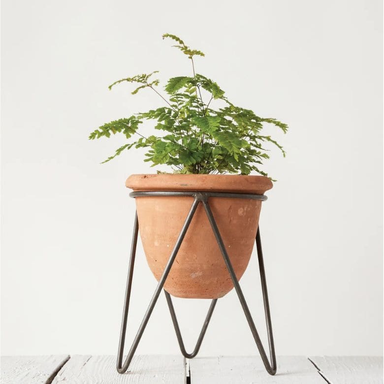 Terracotta Planter with Metal Stand