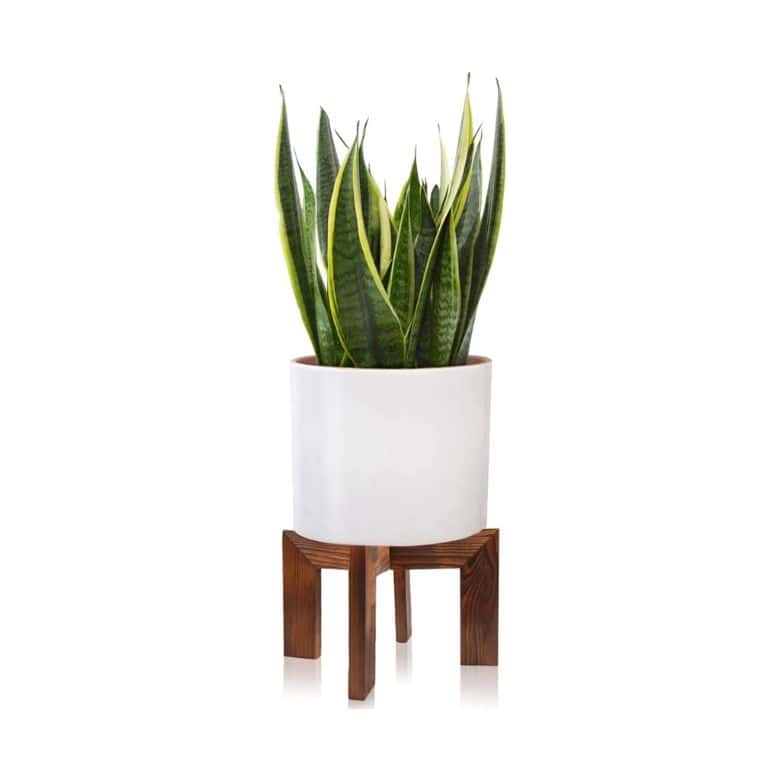 wooden plant stand