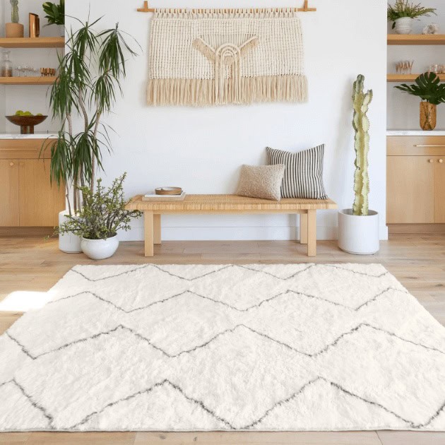 Moroccan Zigzag Plush Rug