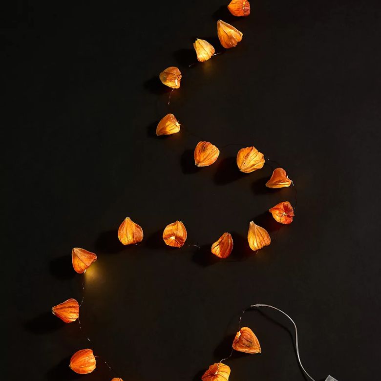 Japanese Lantern Seed Pod String Lights