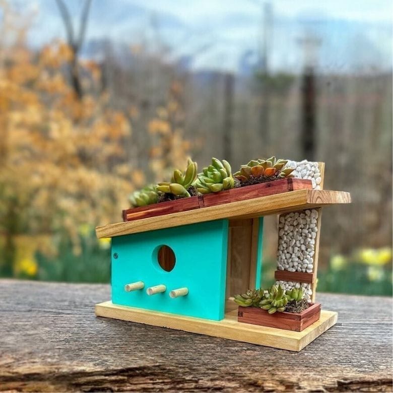 Birdhouse Woodworking Kit with Succulents