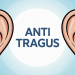 Image explicative anti tragus et piercing cartilage
