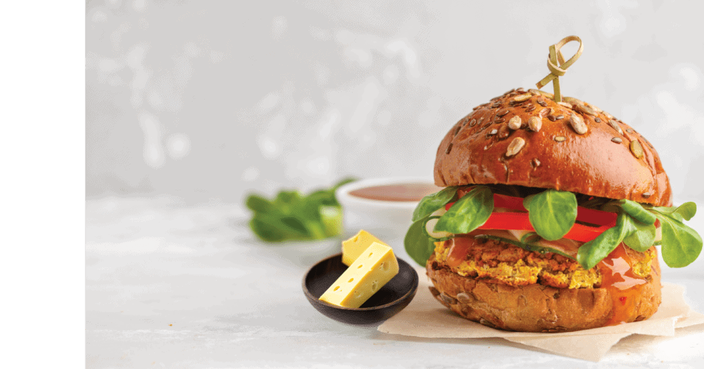 Plant Protein burger