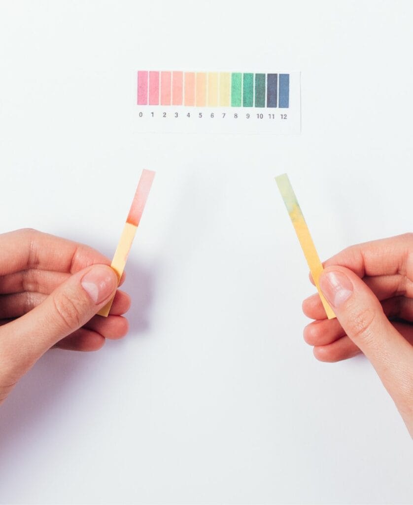 pH - the power of hydrogen in food and beverage products