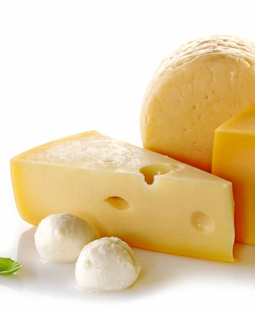 evolved plant-based-cheeses