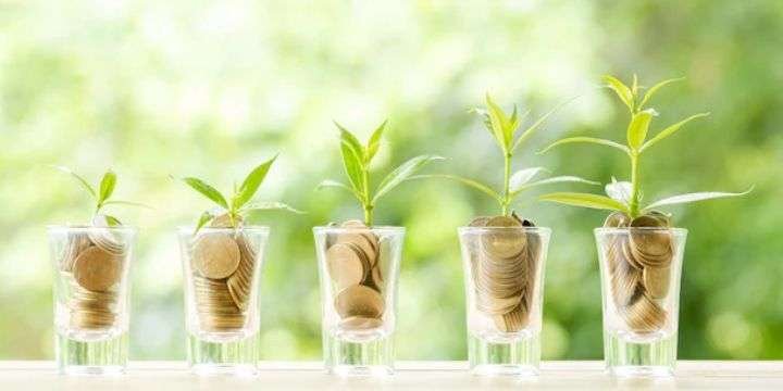 Organizational structure of mutual funds