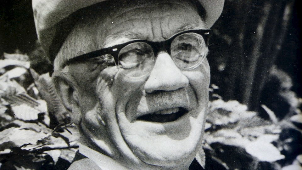 Zweigelt - Wein und Wahrheit