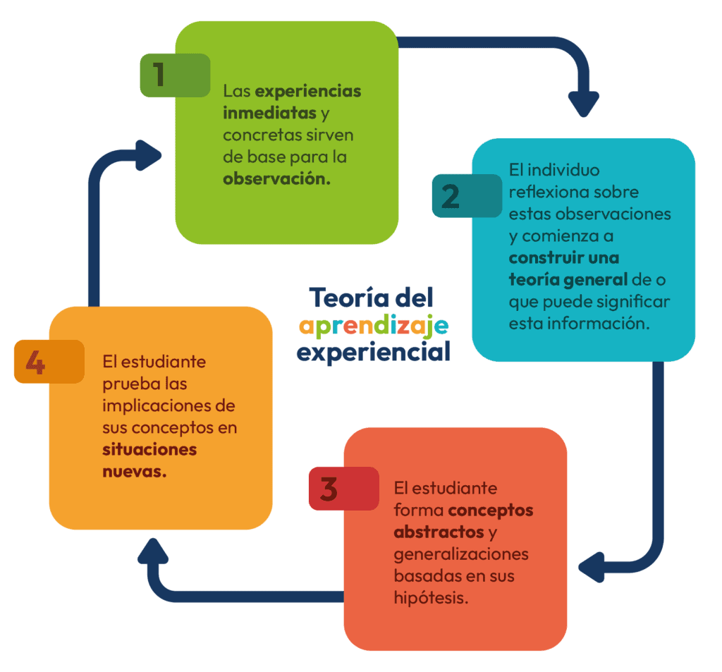 Esquema del ciclo de aprendizaje experiencial de Kolb, aplicado al desarrollo infantil en preescolar.