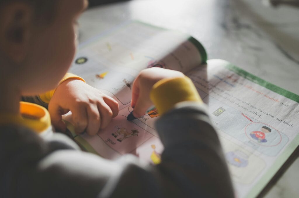 proyectos educativos NEM preescolar