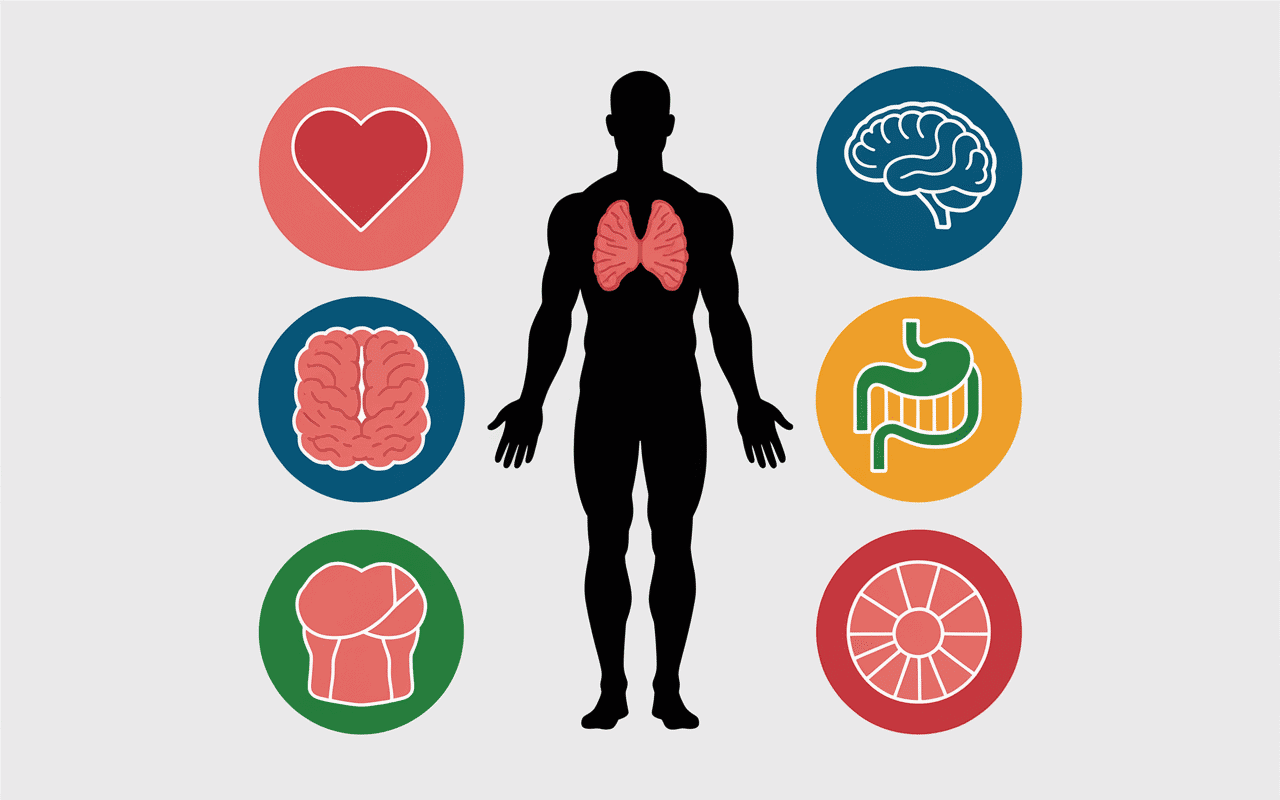 aliment x bienfaits sur la santé infographie