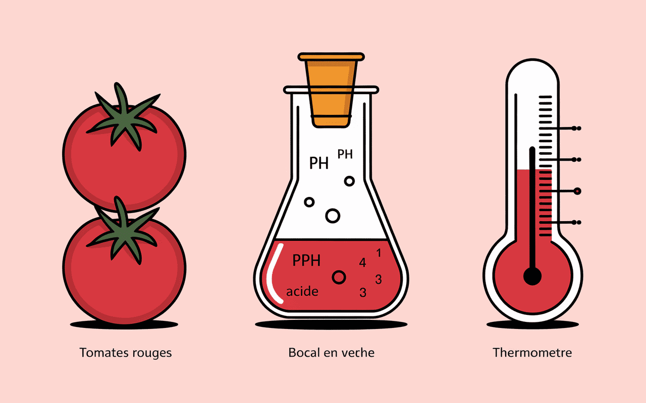 Schema principes clefs conserve de tomates en bocaux sans sterilisation