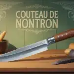 Couteau de Nontron traditionnel sur fond bois de buis et lame brillante