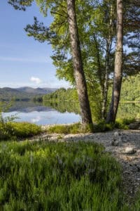 Serene lakeside view at Erchless Castle Estate with lush greenery and mountains.