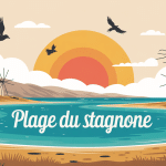 Vue du lagon plage du Stagnone avec moulins et kites
