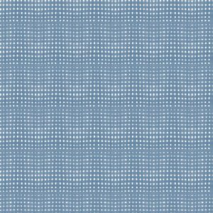 Timeless Treasures Blue Gingham