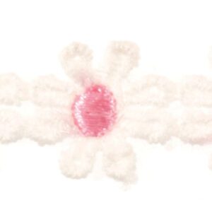pink daisy