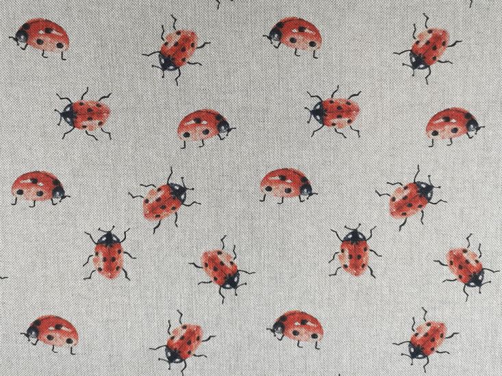 Ladybirds