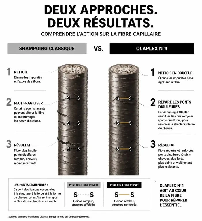 Infographie comparative : shampoing classique vs Olaplex N°4 pour avis et efficacité