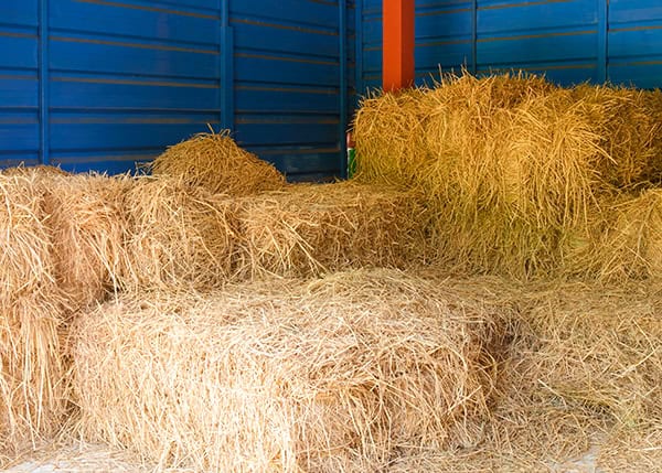 Hay Storage