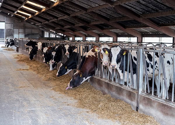 Livestock Confinement