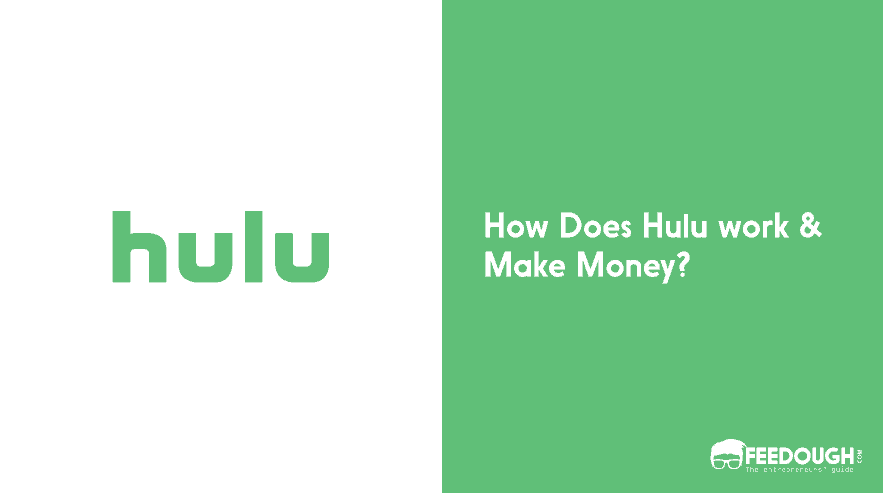 How Does Hulu Work & Make Money? | Hulu Business Model how does hulu work