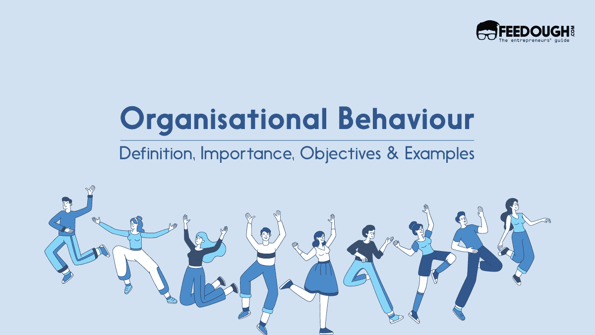 What Is Organisational Behaviour? - Importance, Objectives & Examples organisational behaviour