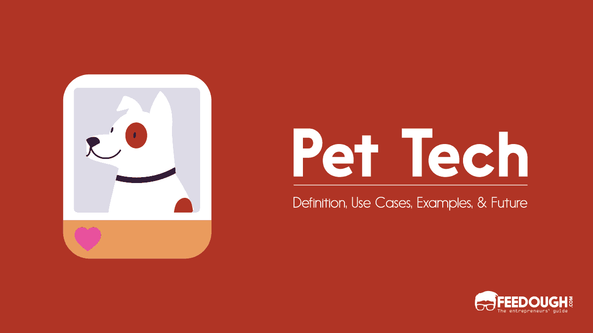 What Is Pet Tech? โ Use Cases, Examples, & Future pet tech